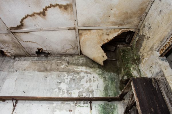 Water Damage Service in Bradenton