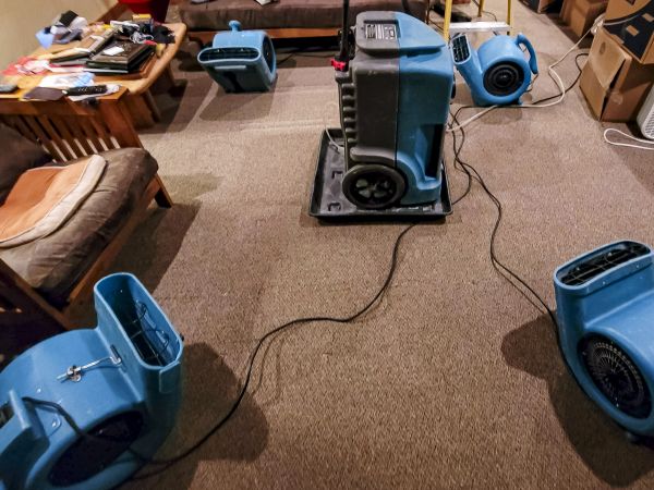 Flood Damage Recovery in Bradenton
