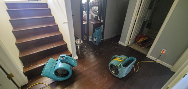 Water Damage Remediation in Bradenton