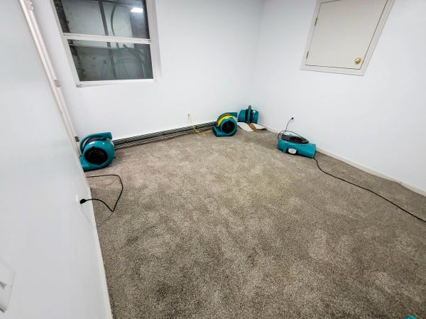 Flood Restoration Service in Bradenton