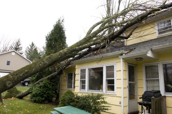 Hurricane Damage Repair in Bradenton
